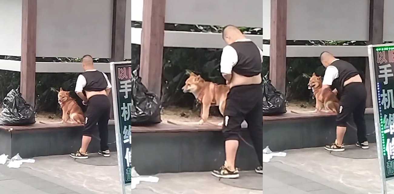 太逆天了！胖子大白天地当街猥亵日黄狗 真正印证了